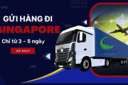 Giải pháp gửi hàng đi Singapore giá rẻ, nhanh chóng