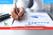 Báo cáo thực tập là gì? Gồm những nội dung nào?