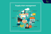 Supply chain là gì? Thông tin chi tiết về Supply Chain