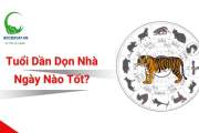 Tuổi Dần Dọn Nhà Ngày Nào Tốt? Chọn Ngày Vàng Đón Vượng Khí