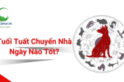 Tuổi Tuất Chuyển Nhà Ngày Nào Tốt? Chọn Ngày Tốt Đón Vận May