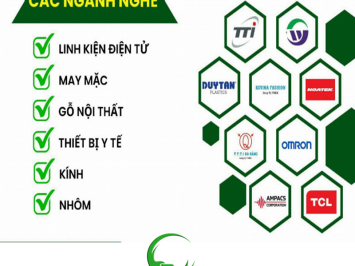 Công ty cung ứng nhân công kho bãi - Giải pháp tối ưu cho doanh nghiệp