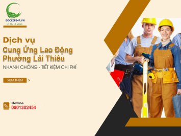 Cung Ứng Lao Động Phường Lái Thiêu - Dịch Vụ Bốc Xếp 247