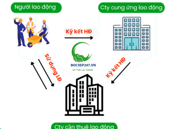 Dịch Vụ Cung Ứng Lao Động TPHCM & Toàn Quốc | Giá Rẻ Từ 150k/Ca