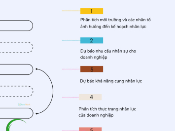 Quy trình hoạch định nguồn nhân lực trong doanh nghiệp