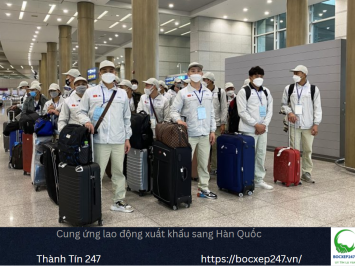 Cung ứng lao động xuất khẩu sang Hàn Quốc