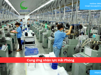 Cung ứng nhân lực Hải Phòng