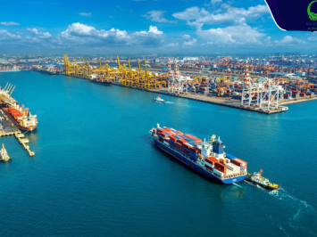 Top 10 công ty logistics tại Việt Nam theo ngành